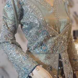 Banarsi with embroidery